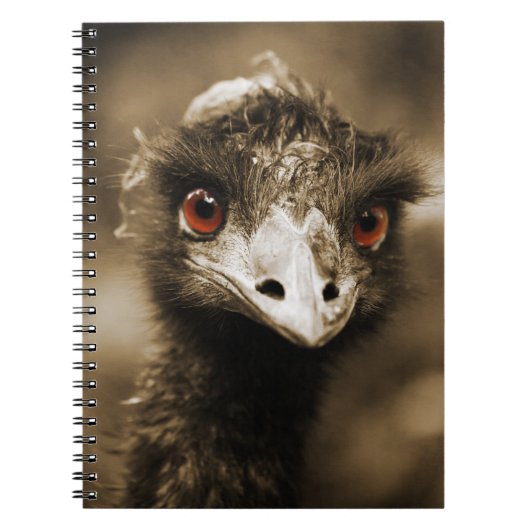 Ostriches notitieboek (Voorkant)
