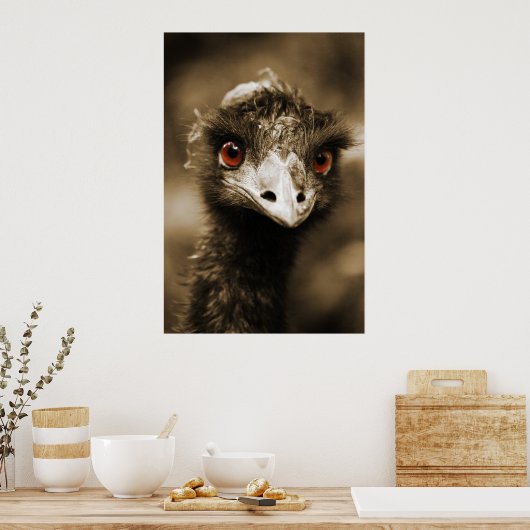 Ostriches poster (Keuken)