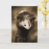 Ostriches wenskaart kaart (Gele Bloem)