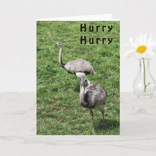 OSTRICHES ZEGGEN HAPPY **APRIL BIRTHDAY * * KAART (Kleine Plant)