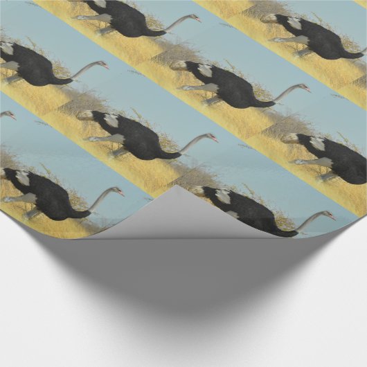 Ostrige uit voor een run cadeaupapier (Hoek)