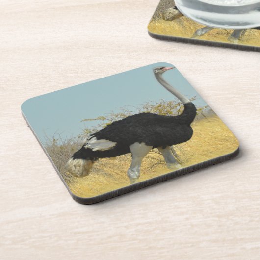 Ostrige uit voor een run drankjes onderzetter (Linkerzijde)