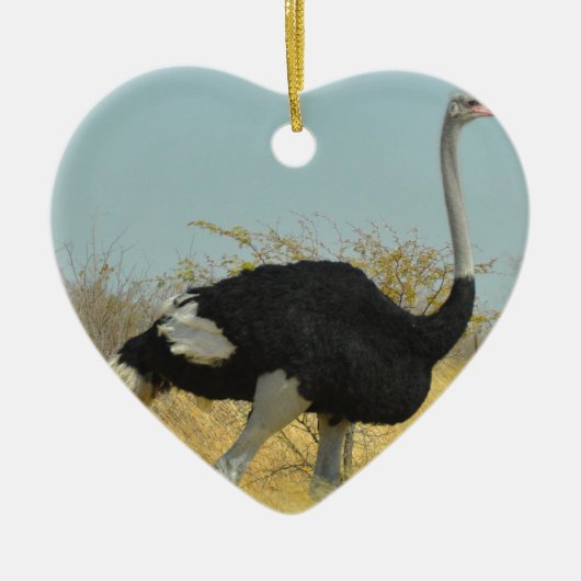 Ostrige uit voor een run keramisch ornament (Voorkant)