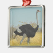 Ostrige uit voor een run metalen ornament (Links)