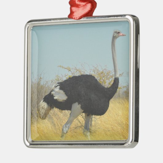 Ostrige uit voor een run metalen ornament (Links)