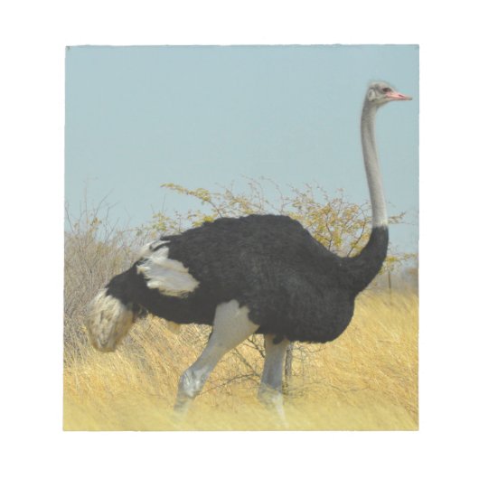 Ostrige uit voor een run notitieblok (Voorkant)