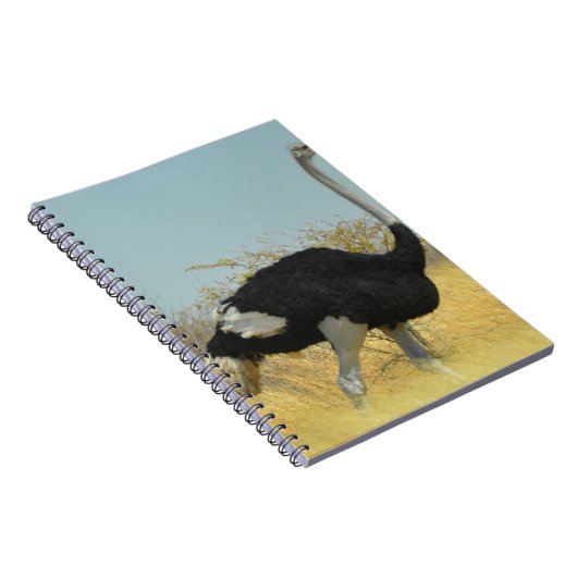 Ostrige uit voor een run notitieboek (Rechterzijde)