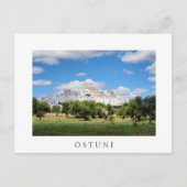 Ostuni met olijfbomen, wit briefkaart van Apulië (Voorkant)