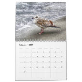 Ostzee kalender – Darß en kustlandschappen (Feb 2027)