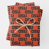 OSU INPAKPAPIER VEL (In situ)