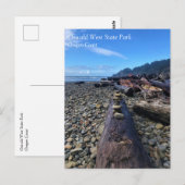 Oswald West State Park, Briefkaart Oregon (Voorkant / Achterkant)