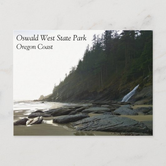 Oswald West State Park, Oregon Coast Briefkaart (Voorkant)