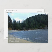 Oswald West State Park, Oregon Coast Briefkaart (Voorkant / Achterkant)