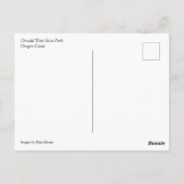 Oswald West State Park, Oregon Coast Briefkaart (Achterkant)