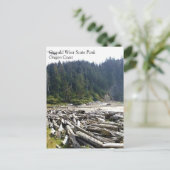 Oswald West State Park, Oregon Coast Briefkaart (Staand voorkant)