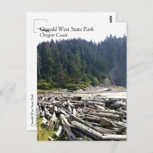 Oswald West State Park, Oregon Coast Briefkaart (Voorkant / Achterkant)