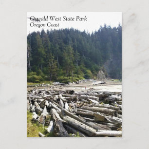 Oswald West State Park, Oregon Coast Briefkaart