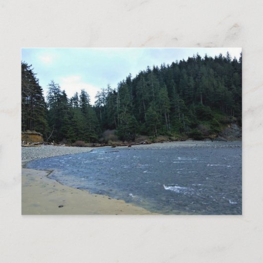Oswald West State Park, Oregon Coast Briefkaart (Voorkant)