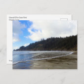 Oswald West State Park, Oregon Coast Briefkaart (Voorkant / Achterkant)