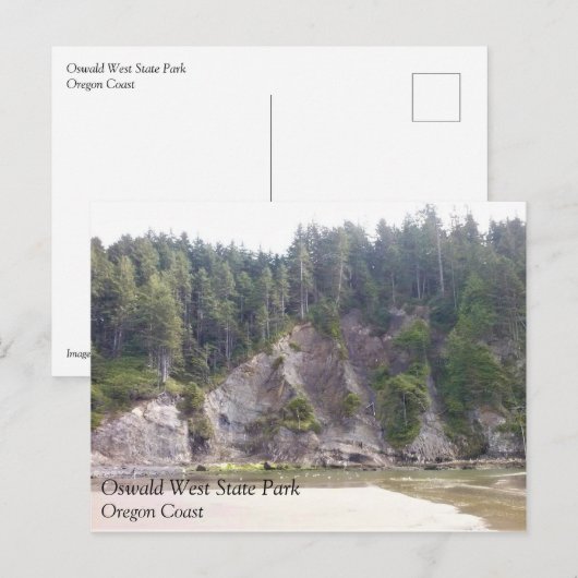Oswald West State Park, Oregon Coast Briefkaart (Voorkant / Achterkant)
