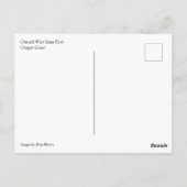 Oswald West State Park, Oregon Coast Briefkaart (Achterkant)