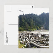 Oswald West State Park, Oregon Coast Briefkaart (Voorkant / Achterkant)
