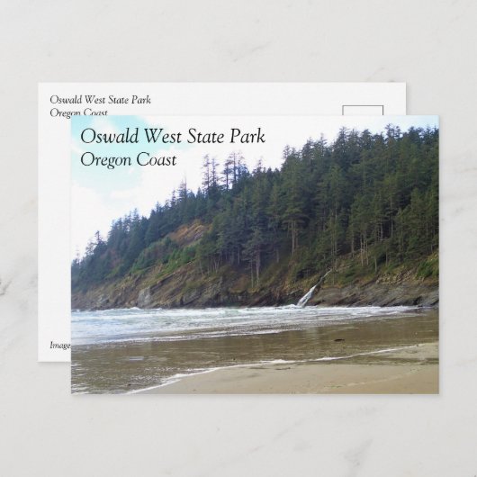 Oswald West State Park, Oregon Coast Briefkaart (Voorkant / Achterkant)