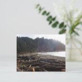 Oswald West State Park, Oregon Coast Briefkaart (Staand voorkant)