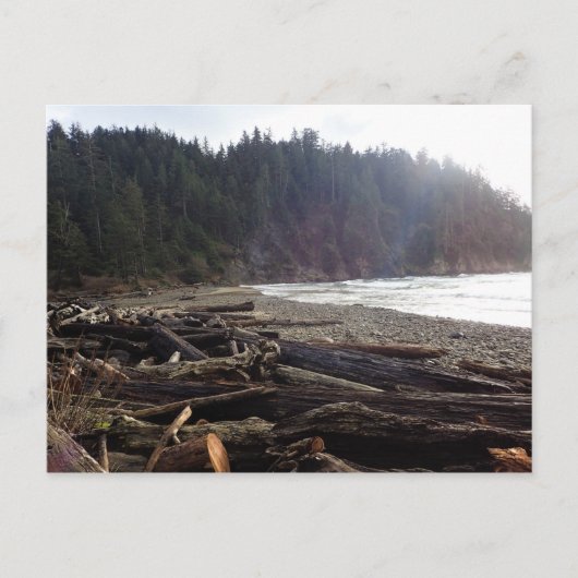 Oswald West State Park, Oregon Coast Briefkaart (Voorkant)