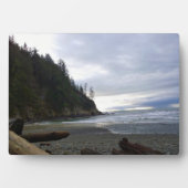 Oswald West State Park, Oregon Coast Fotoplaat (voorkant)