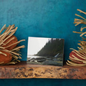 Oswald West State Park, Oregon Coast Fotoplaat (Zijkant)