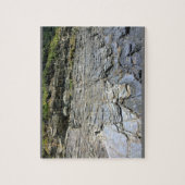 Oswald West State Park, Oregon Coast Legpuzzel (Verticaal)