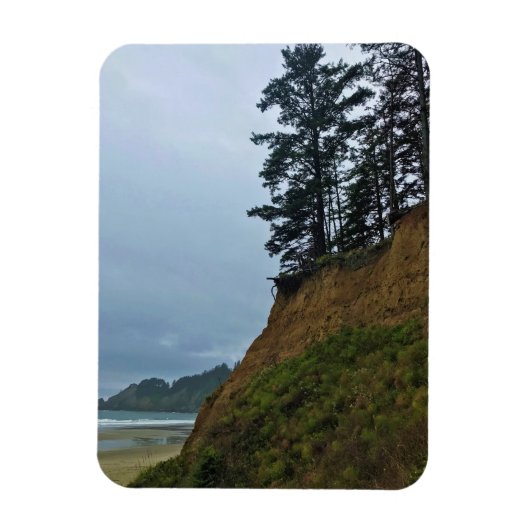Oswald West State Park, Oregon Coast Magneet (Verticaal)