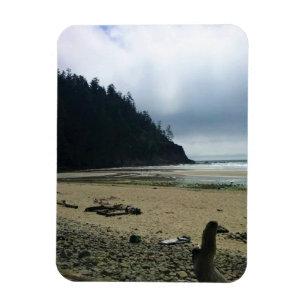 Oswald West State Park, Oregon Coast Magneet