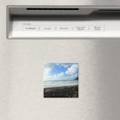 Oswald West State Park, Oregon Coast Magneet (Insitu (Vaatwasser))