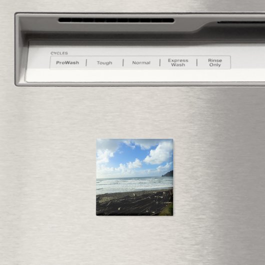 Oswald West State Park, Oregon Coast Magneet (Insitu (Vaatwasser))