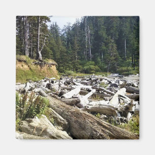 Oswald West State Park, Oregon Coast Magneet