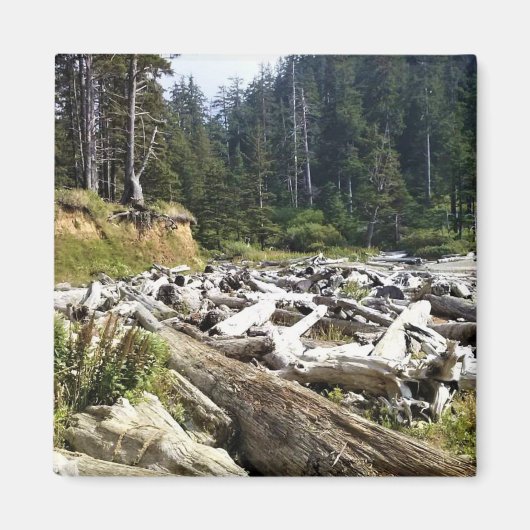 Oswald West State Park, Oregon Coast Magneet (Voorkant)