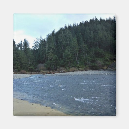 Oswald West State Park, Oregon Coast Magneet (Voorkant)