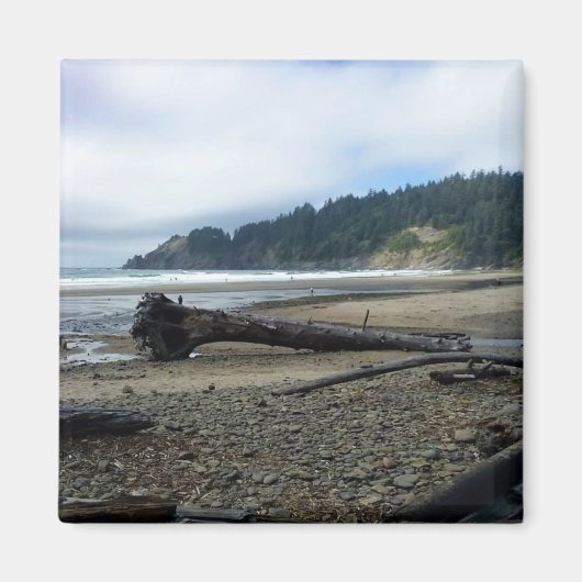 Oswald West State Park, Oregon Coast Magneet (Voorkant)