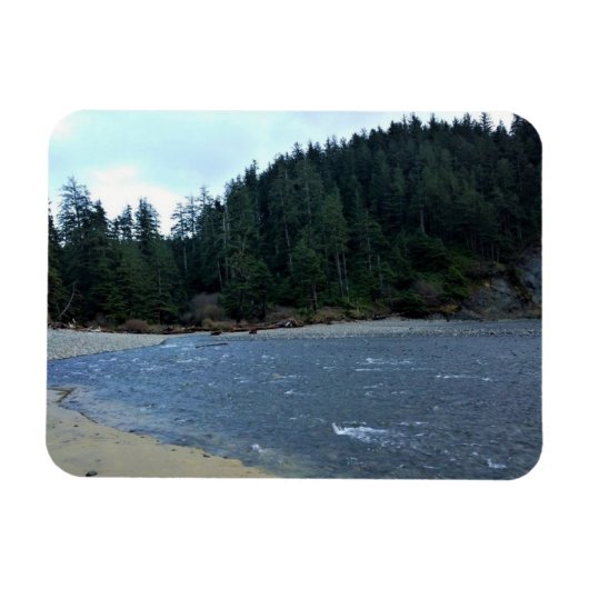 Oswald West State Park, Oregon Coast Magneet (Horizontaal)