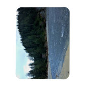 Oswald West State Park, Oregon Coast Magneet (Verticaal)