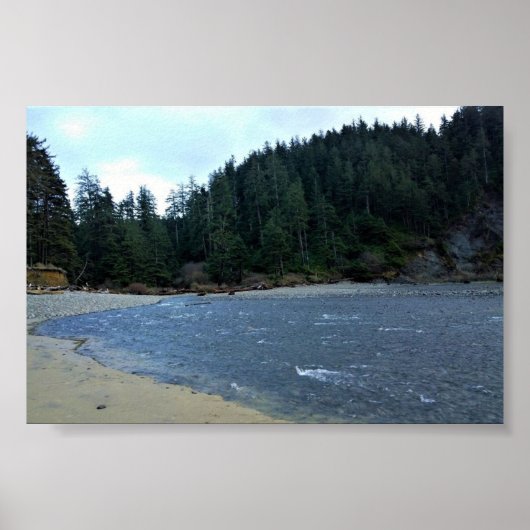 Oswald West State Park, Oregon Coast Poster (Voorkant)