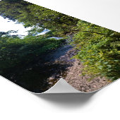 Oswald West State Park, Oregon Coast Poster (Hoek)