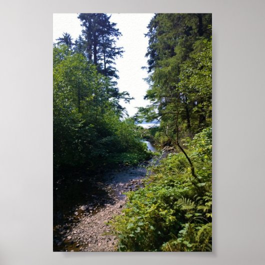 Oswald West State Park, Oregon Coast Poster (Voorkant)