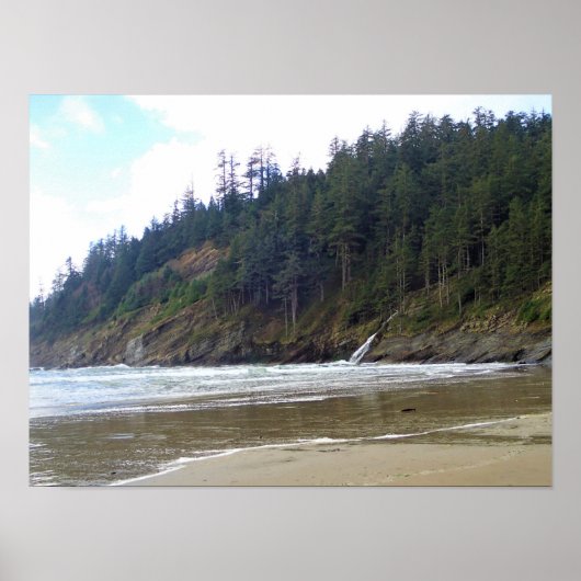 Oswald West State Park, Oregon Coast Poster (Voorkant)