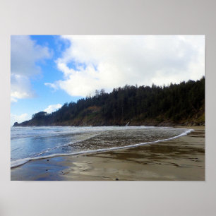 Oswald West State Park, Oregon-kust Poster