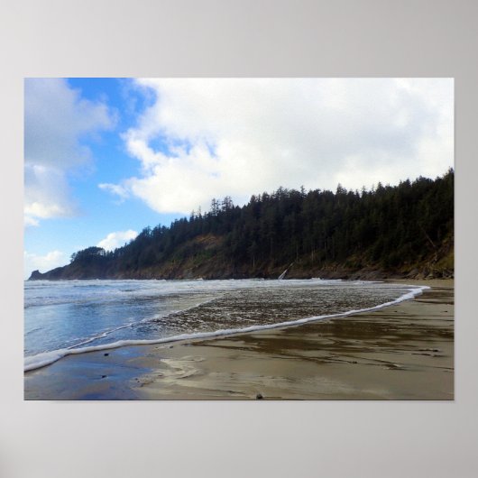 Oswald West State Park, Oregon-kust Poster (Voorkant)