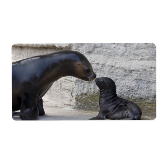 Otaria flavescens etiket (Voorkant)