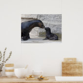 Otaria flavescens poster (Keuken)